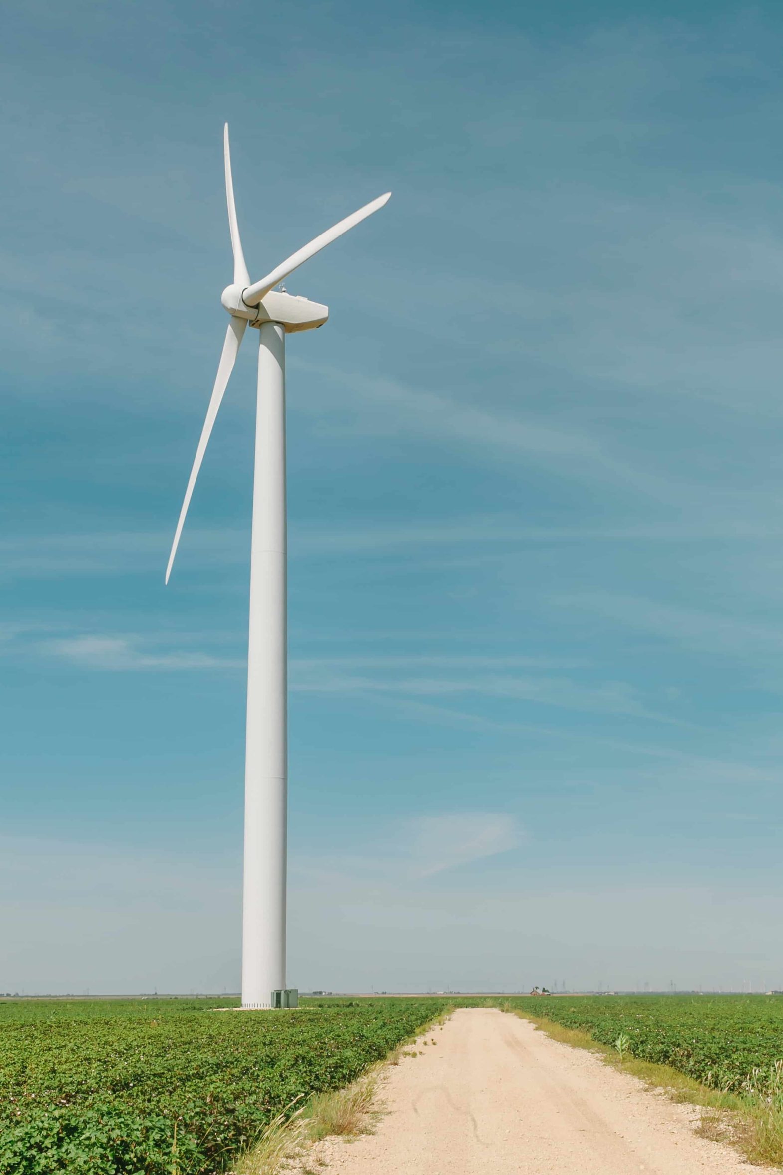 Image of wind turbine in field