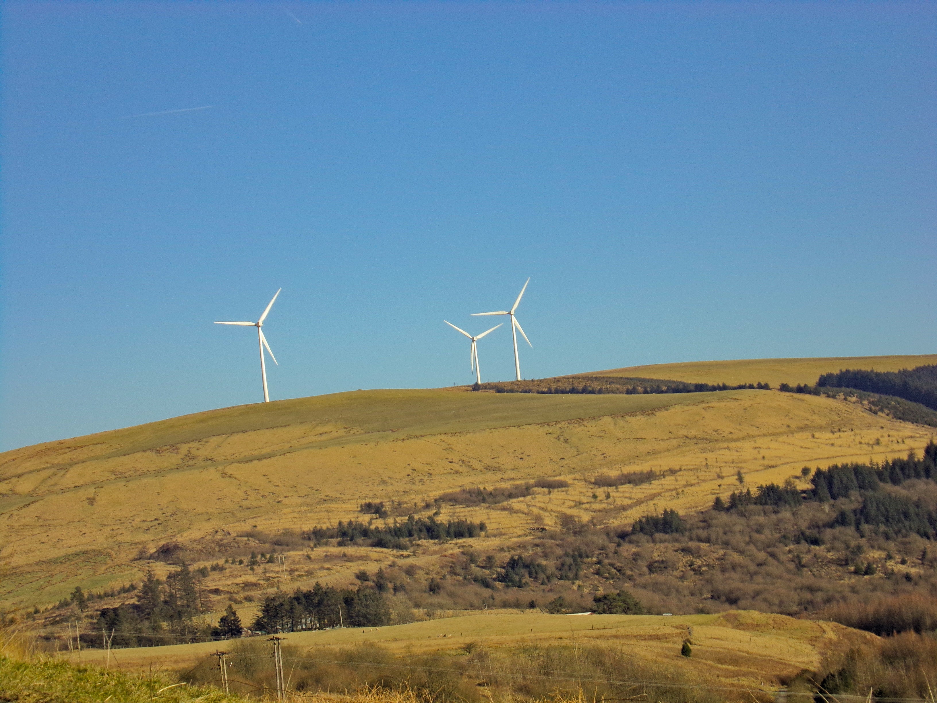 Three wind turbines are shown in a large field.
