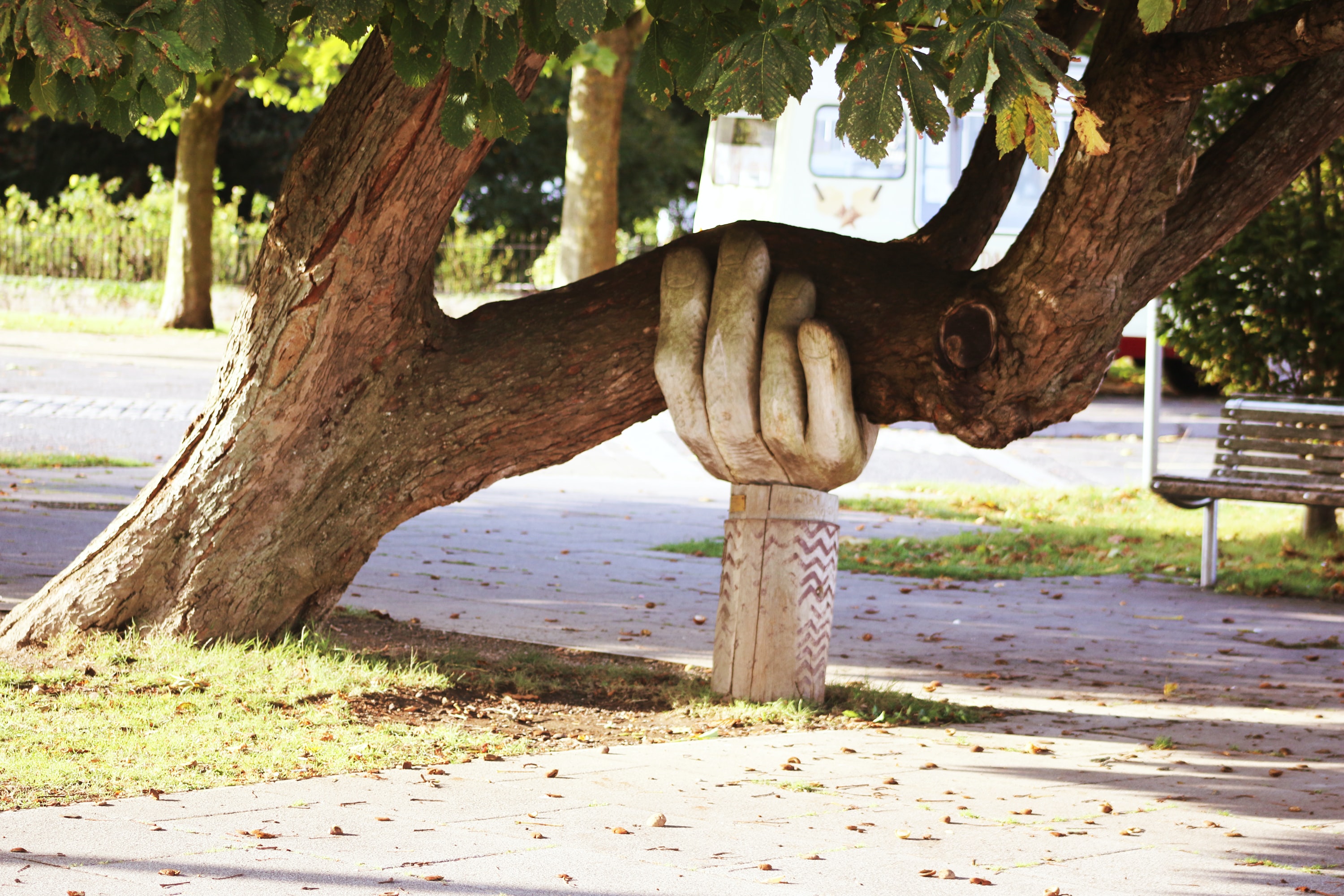  A hand shaped structure holding up a leaning tree trunk, representing collaboration.