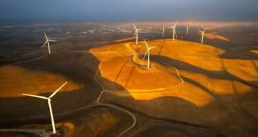 Photo of wind farm in regional area.