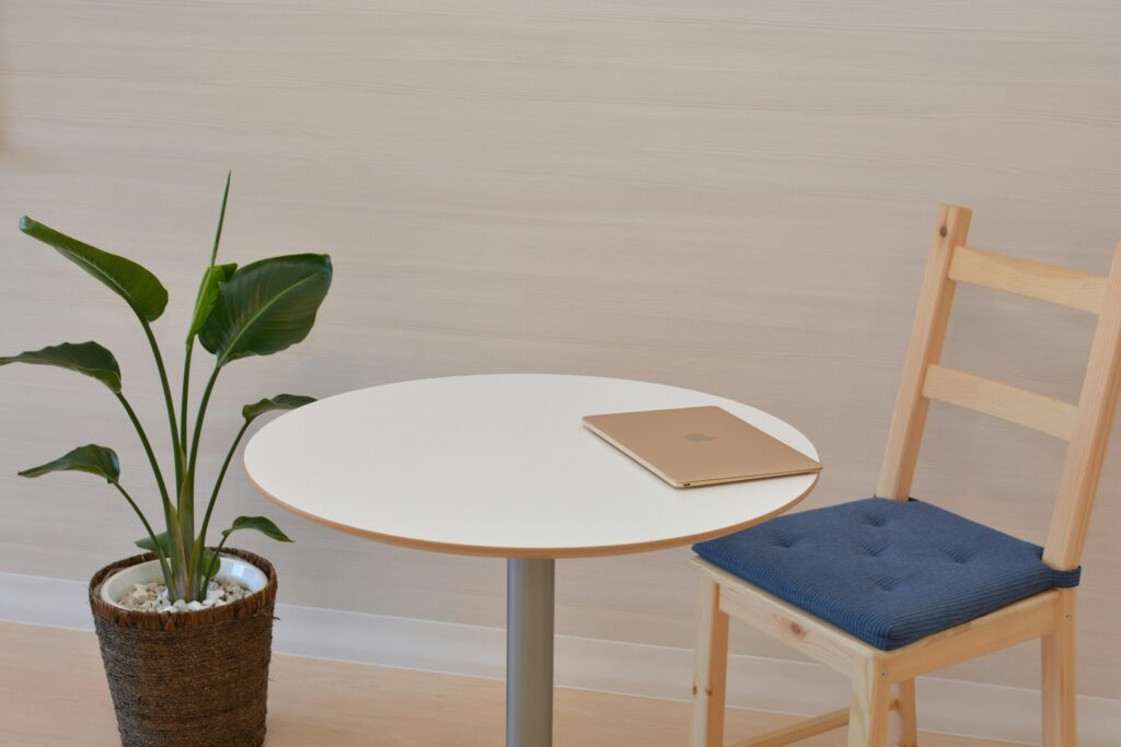 Indoor plant with table, chair, and laptop.