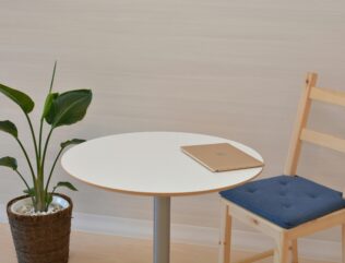 Indoor plant with table, chair, and laptop.