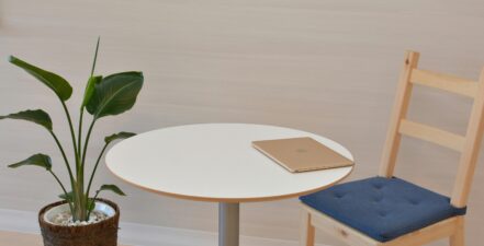 Indoor plant with table, chair, and laptop.