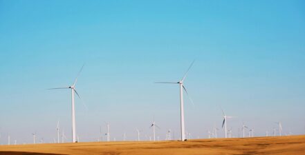 Wind farm in desert.