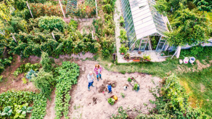 Two people in a community garden to represent ESG stakeholder engagement.