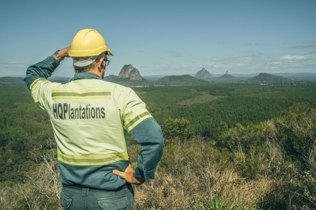 Photo of a forestry worker looking at the forest