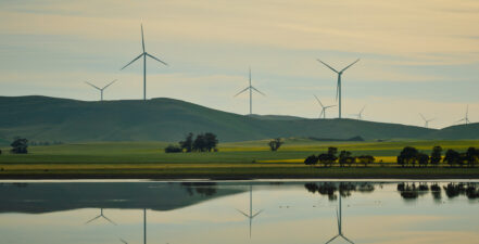 Neoen - Renewables, Goyder South Wind Farm, Australia. Renewable project using stakeholder software